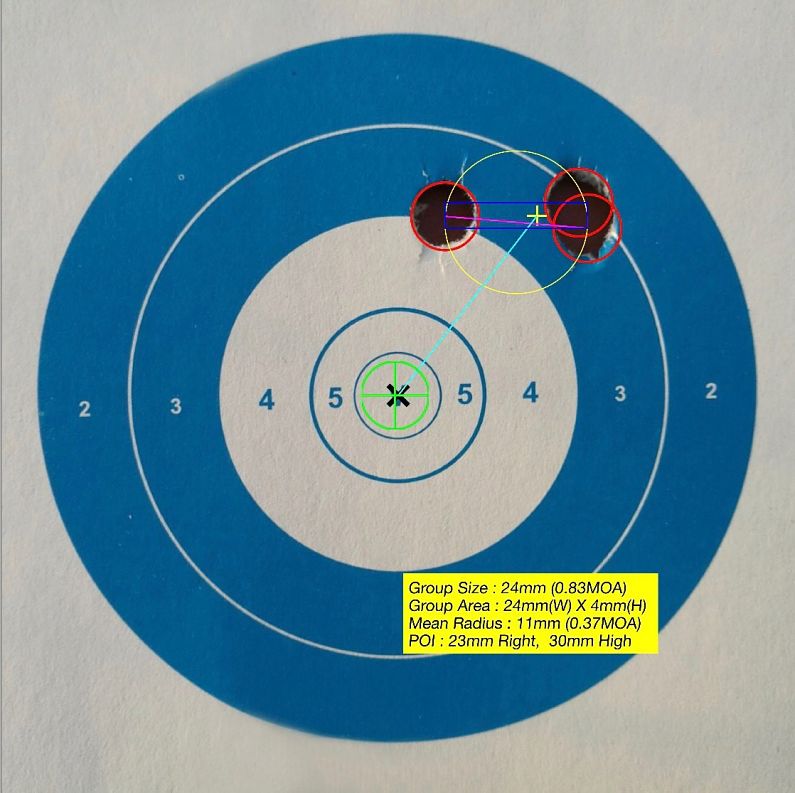Bushmaster .450 Diana prueba de precisión